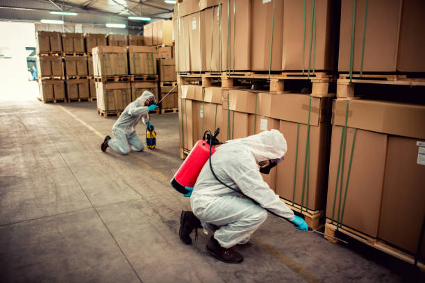 Best Wildlife Control Services  in Ivyland, PA