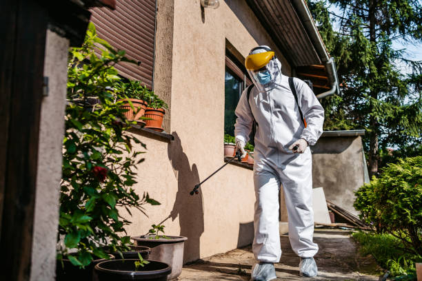 Best Rat Extermination Near Me  in Ivyland, PA