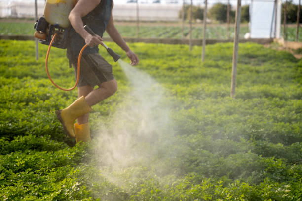 Wasp Removal Services in Ivyland, PA