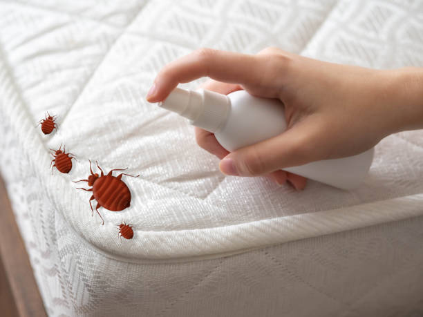 Best Affordable Pest Control Services  in Ivyland, PA