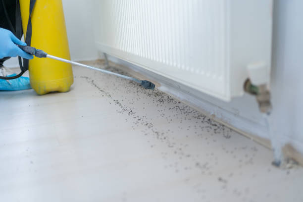 Best Exterminator Services  in Ivyland, PA